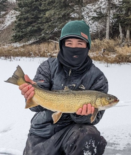 Tiger Trout