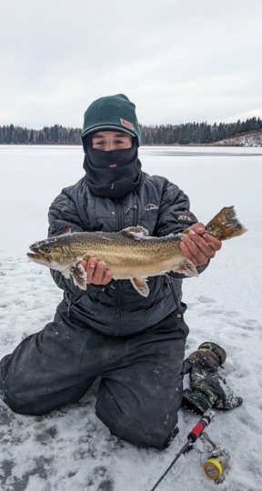 Tiger Trout