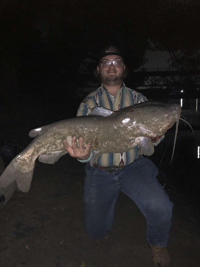Channel Catfish