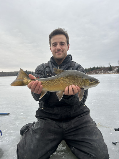 Tiger Trout