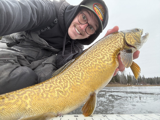 Tiger Trout