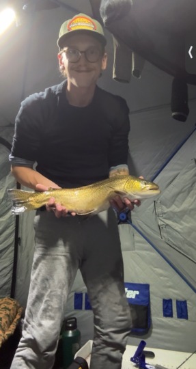 Tiger Trout