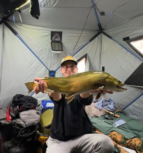 Tiger Trout