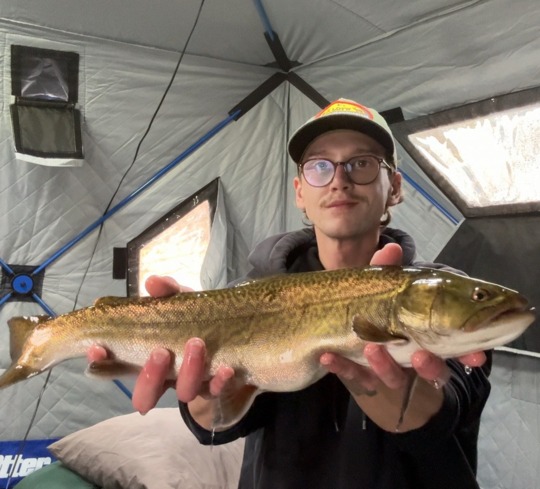 Tiger Trout