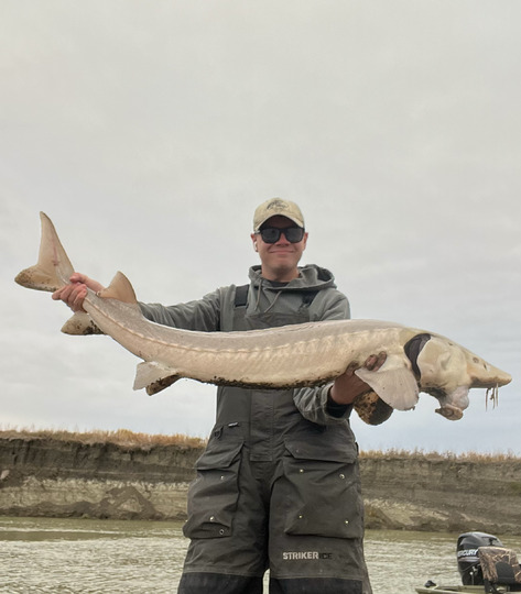 Lake Sturgeon