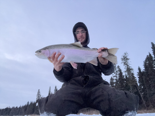 Rainbow Trout