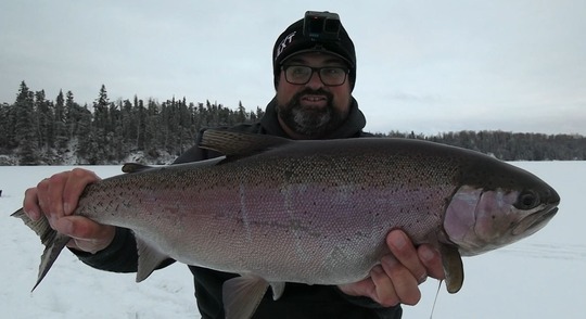 Rainbow Trout