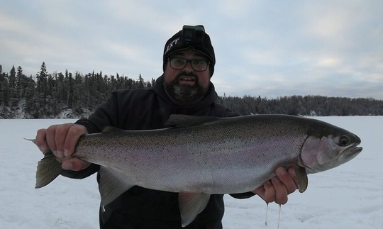 Rainbow Trout