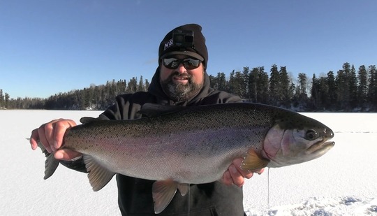 Rainbow Trout