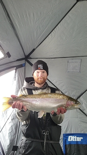 Rainbow Trout