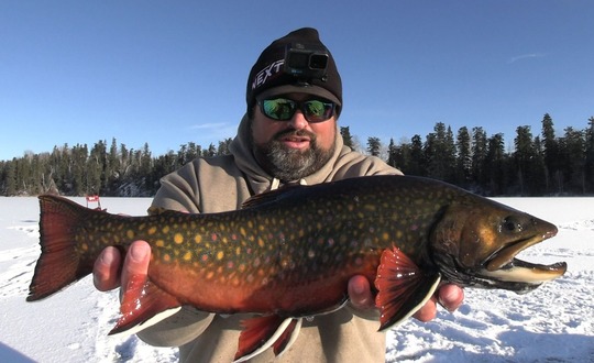 Brook Trout