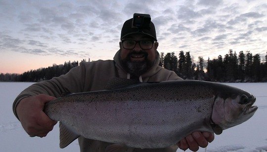 Rainbow Trout