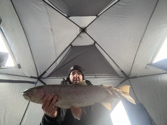 Rainbow Trout