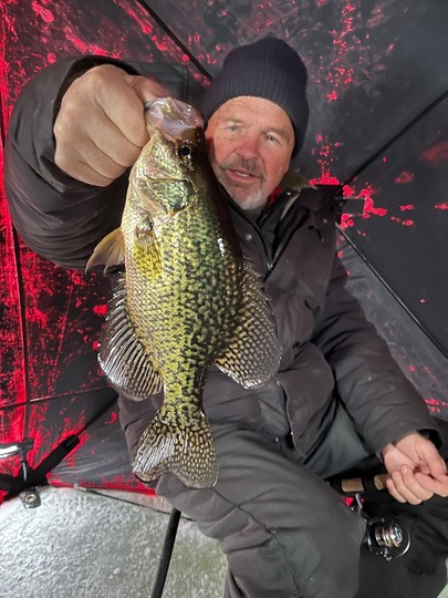 Black Crappie