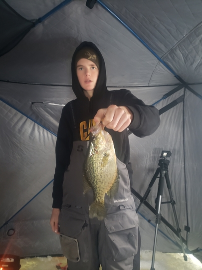 Black Crappie