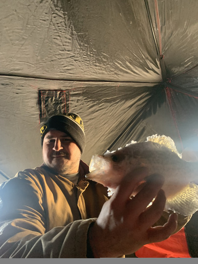 Black Crappie