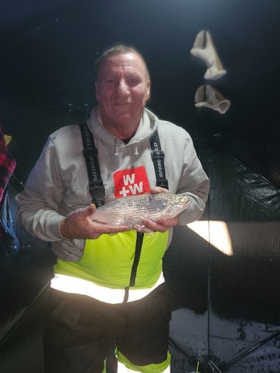 Goldeye