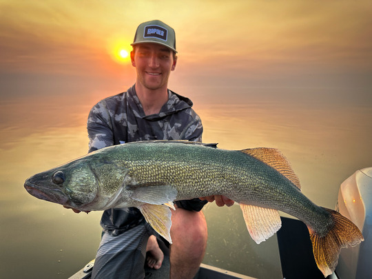 Walleye