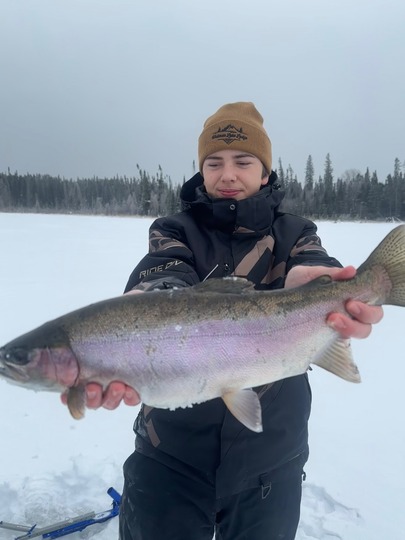 Rainbow Trout