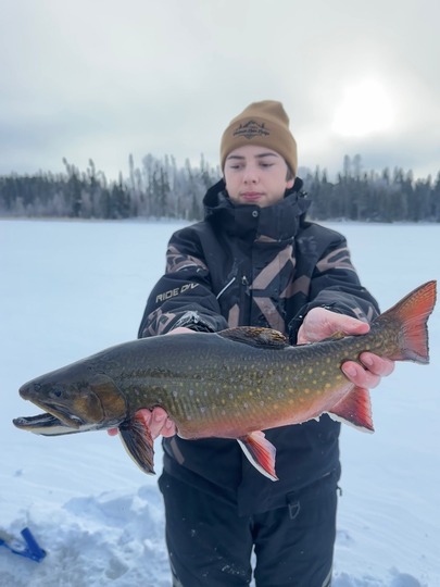 Brook Trout