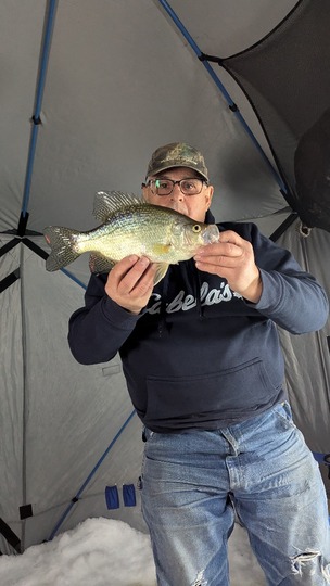 Black Crappie
