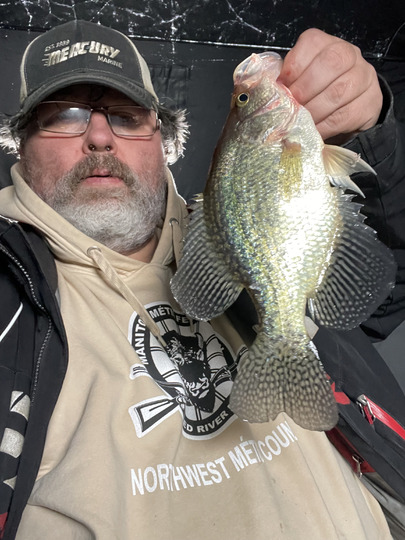 Black Crappie