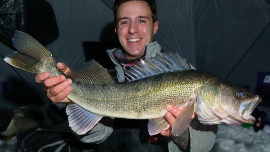 Walleye