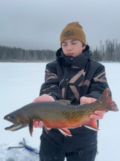 Brook Trout