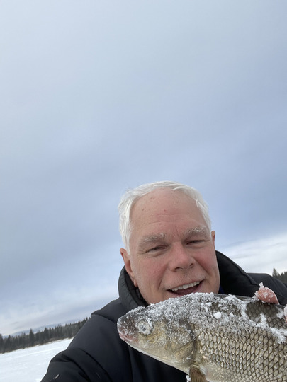 Lake Whitefish