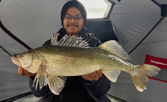 Walleye