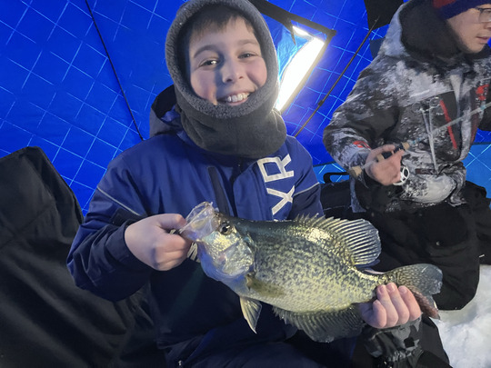 Black Crappie