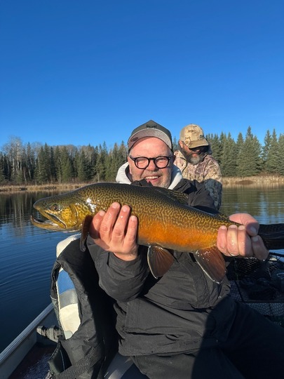 Tiger Trout