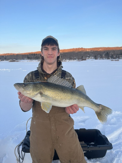 Walleye