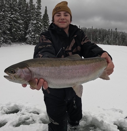 Rainbow Trout