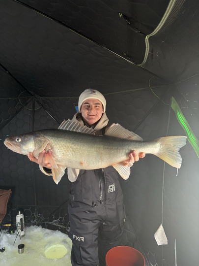 Walleye