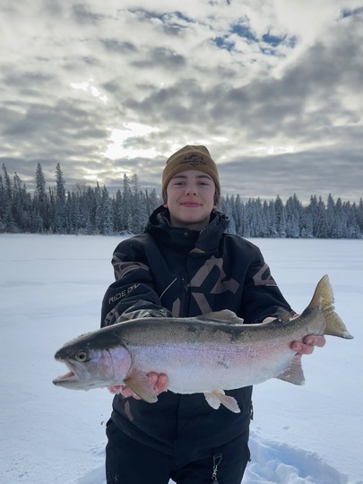 Rainbow Trout
