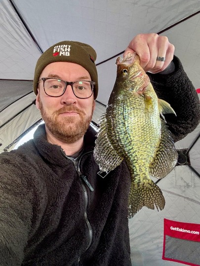Black Crappie