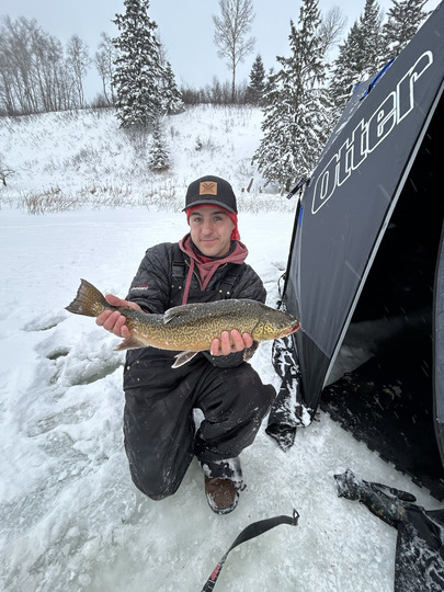 Tiger Trout