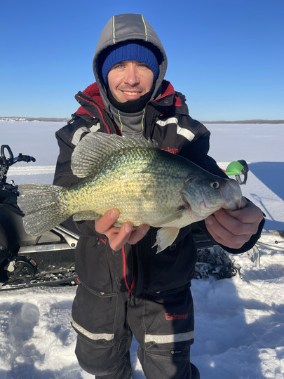 Black Crappie