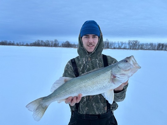 Walleye