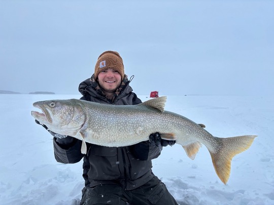 Lake Trout