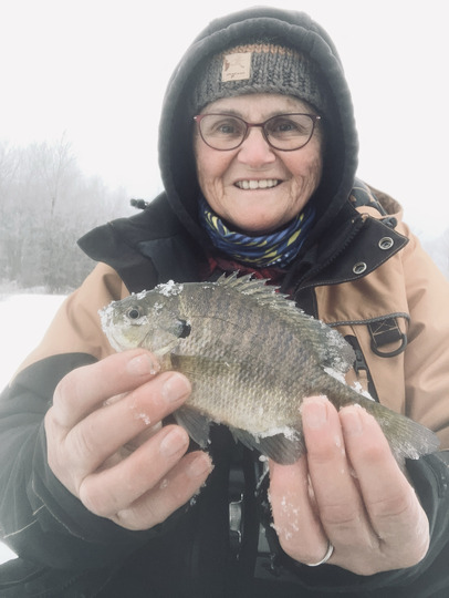 Sunfish