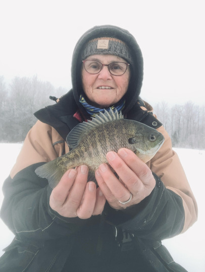 Sunfish