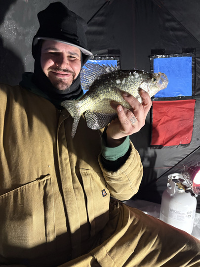 Black Crappie