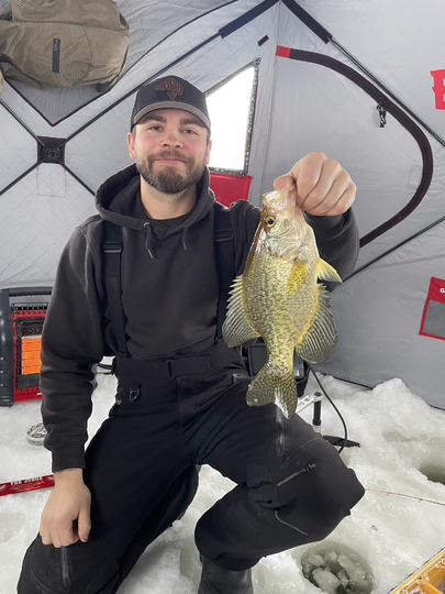 Black Crappie