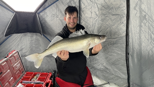 Walleye