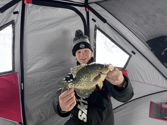 Black Crappie