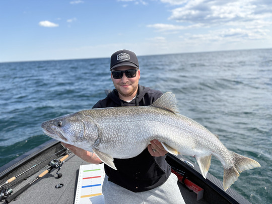 Lake Trout