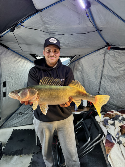 Walleye