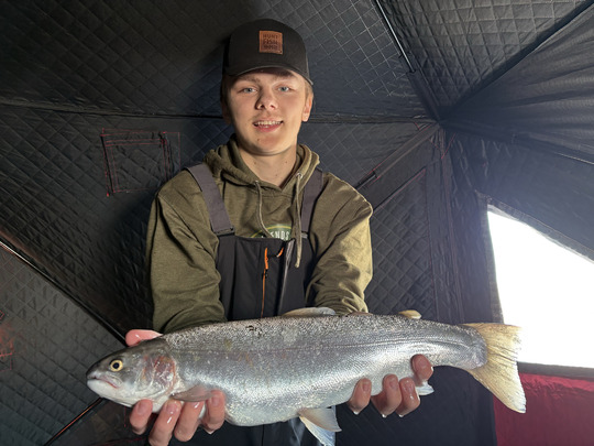 Rainbow Trout
